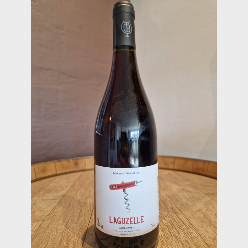 Benjamin Taillandier Laguzelle 2023