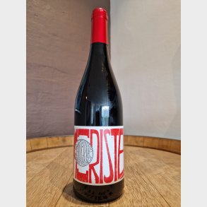 Bodega Pirineos Somontano Principio Moristel 2021