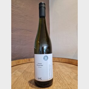 Winzerhof Ebringen Grauburgunder Trocken 2024